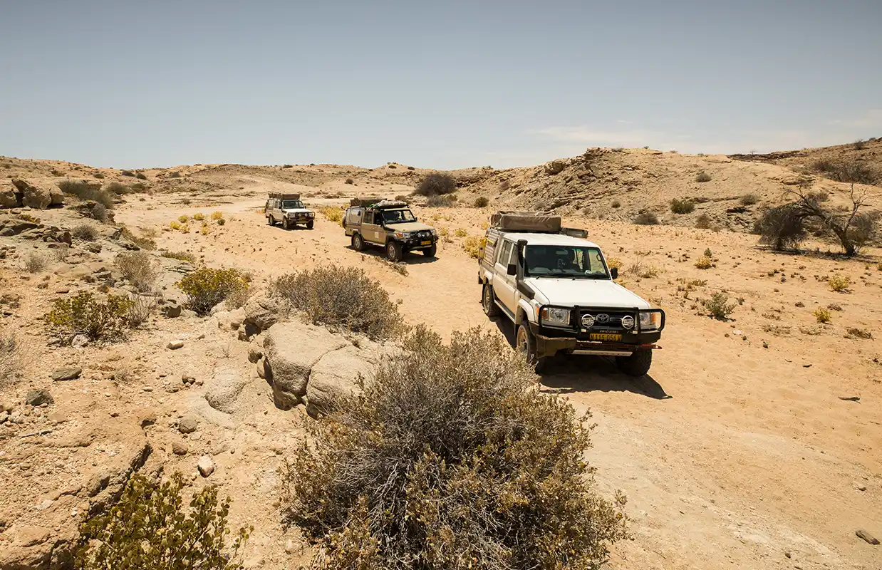 Private-Guided-Safaris-Namibia-Botswana