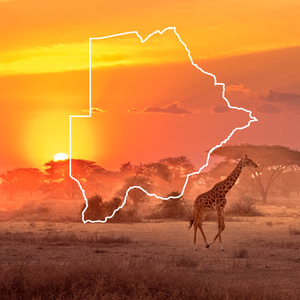 Explore-Africa-Group-Explore-Botswana Explore-Africa-Group-Explore-Botswana