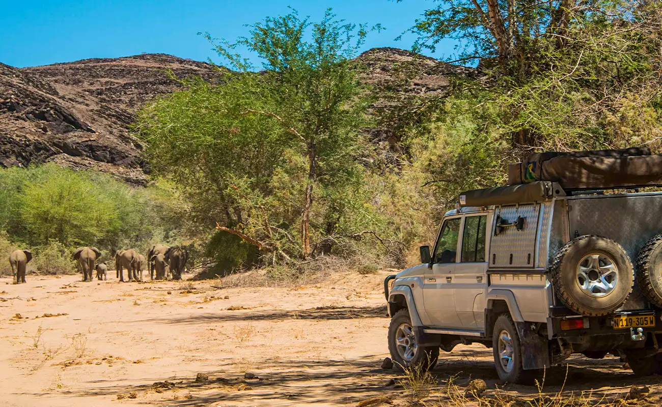 Meine Namibia Safaris Rental Car in Namibia lookout for Elephants