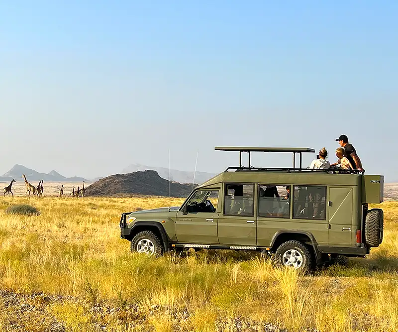 Travellers in a Private Guided Stretched Landcruiser in savanna watching Giraffe