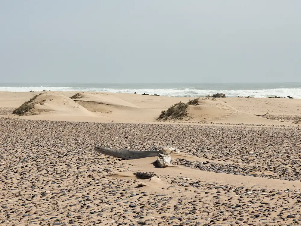 Namibia-Guided-Safaris-Kaokoland-Skeleton-Tour Namibia-Guided-Safaris-Kaokoland-Skeleton-Tour